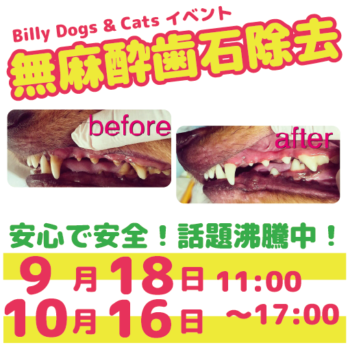 0722022003.png